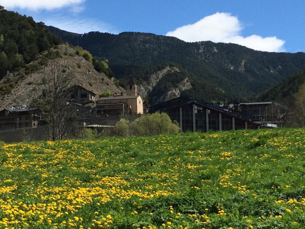 Hotel Ordino Pokój zdjęcie